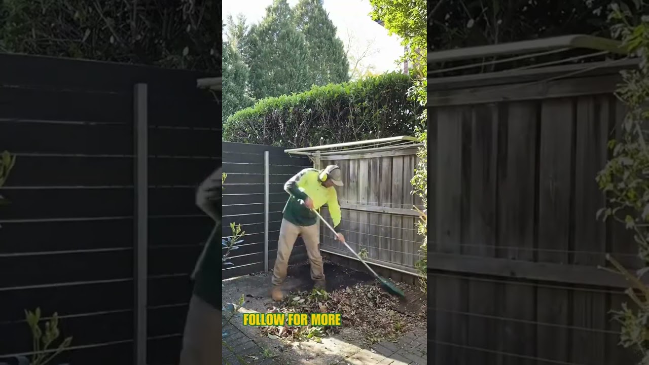 Let us bring precision and tidiness to your yard