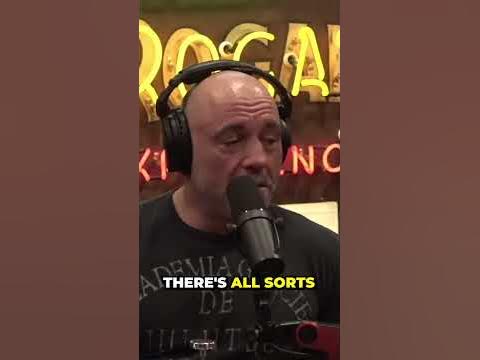 JRE the SHOCKING truth kickboxers 🥊 - YouTube JRE the SHOCKING truth kickboxers 🥊 - YouTube