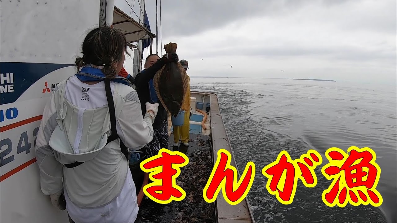 【まんが漁体験】漁体験/まんが漁/マンガ漁/底引き網/蒲郡/三河湾/辰巳丸 - YouTube