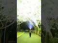 Wow, 200000 lumens flashlight #imalentms32