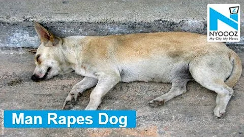 Man rapes dog, forces it into performing oral sex in Mumbai