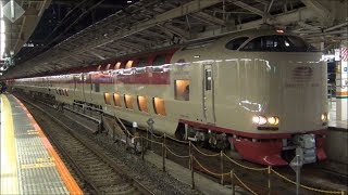 【週末夜行】5031M 寝台特急サンライズ瀬戸・出雲　東京駅9番ホームにて　2019.11.30