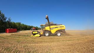 Moisson escourgeon 2020 : NH CX 820.