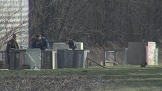 Roosters involved in Fighting Ring Find New Homes