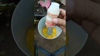 Cara Membuat Pupuk Perangsang Bunga Dan Buah Pada Tanaman