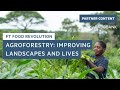 How agroforestry is improving landscapes and lives in Zambia | FT Food Revolution