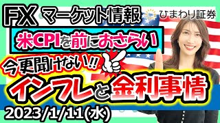 FXマーケット情報：今更聞けない米国のインフレと金利事情!!米CPIを前におさらい！★経済指標やニュースを毎日配信（2023年1月11日の相場解説）