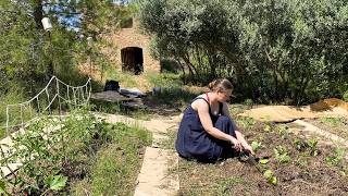 Can We Grow Enough? Self Sufficiency from a Dry Climate Veggie Garden