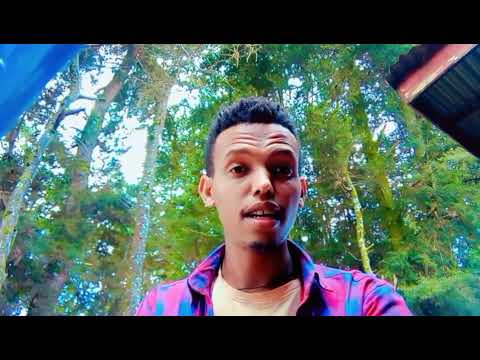 Yuutubii Kanaan Nu Hordofaa