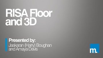 2021 | RISA Floor and 3D