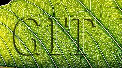 Photoshop Masking | How to use Type Mask Tool in Photoshop in Hindi || GIT Education