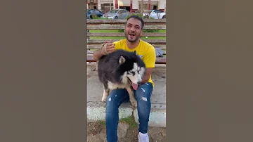 البنت الشريره والكلب لوكي بحبكم 