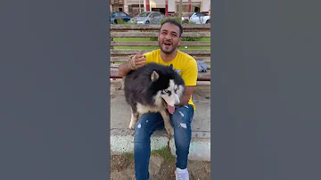 البنت الشريره والكلب لوكي بحبكم 