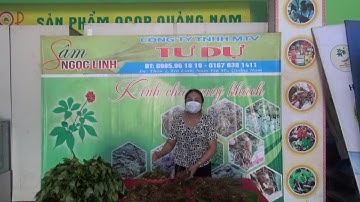PHIÊN CHỢ SÂM NGỌC LINH THÁNG 10 (Online) II Cơ sở Tư Dự - 0985961819