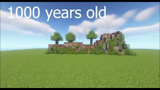 Levels of minecraft Ruins
