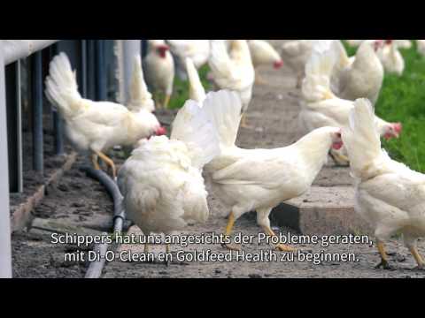 Video: Hühnerkrankheiten und Gesundheitsprobleme
