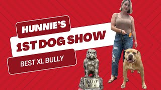 XL American Bully Dog Show