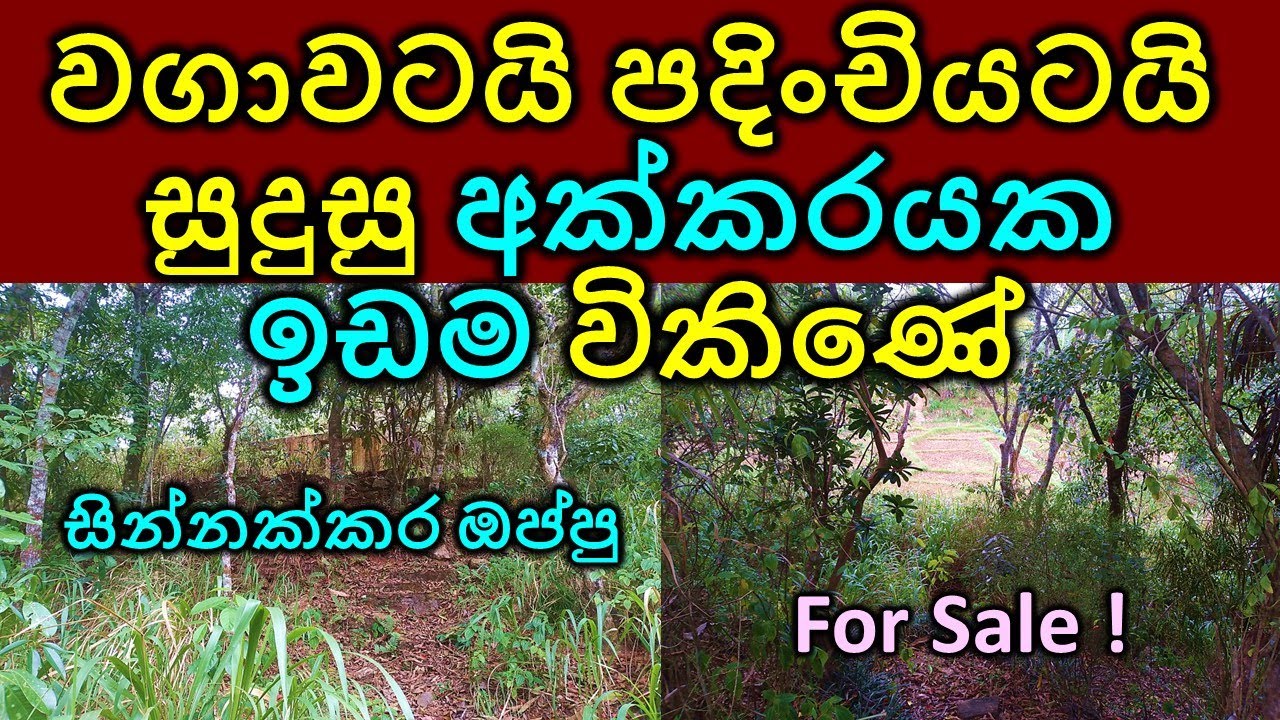 1 Acre land for sale Idam sale House for sale Real estate for