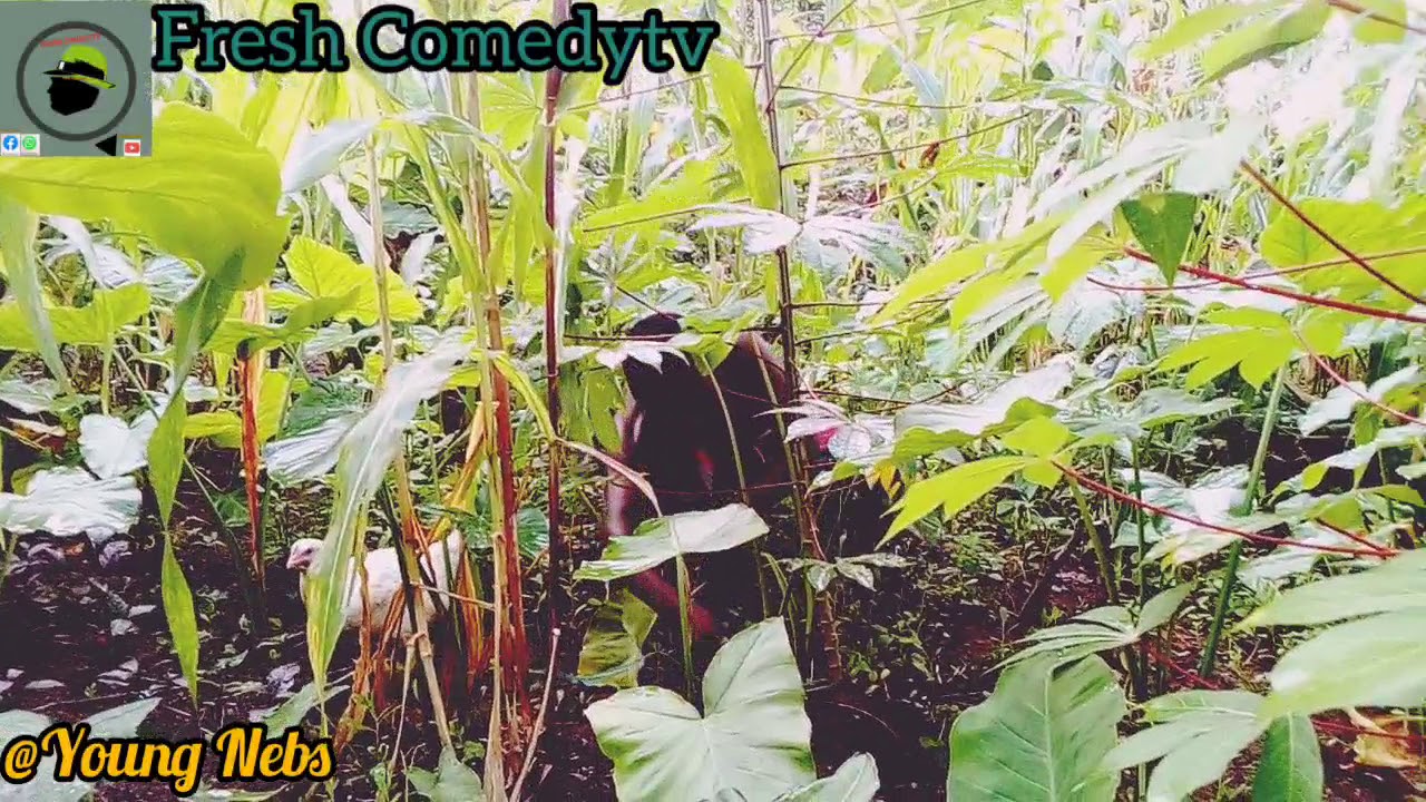 How to prepare Fresh chicken very fast | Fresh Comedytv