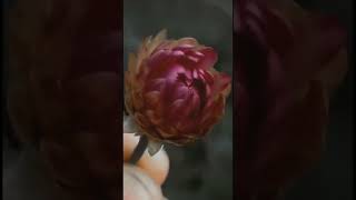 Información #trendshorts new nature 3d sparkling video... Noticias