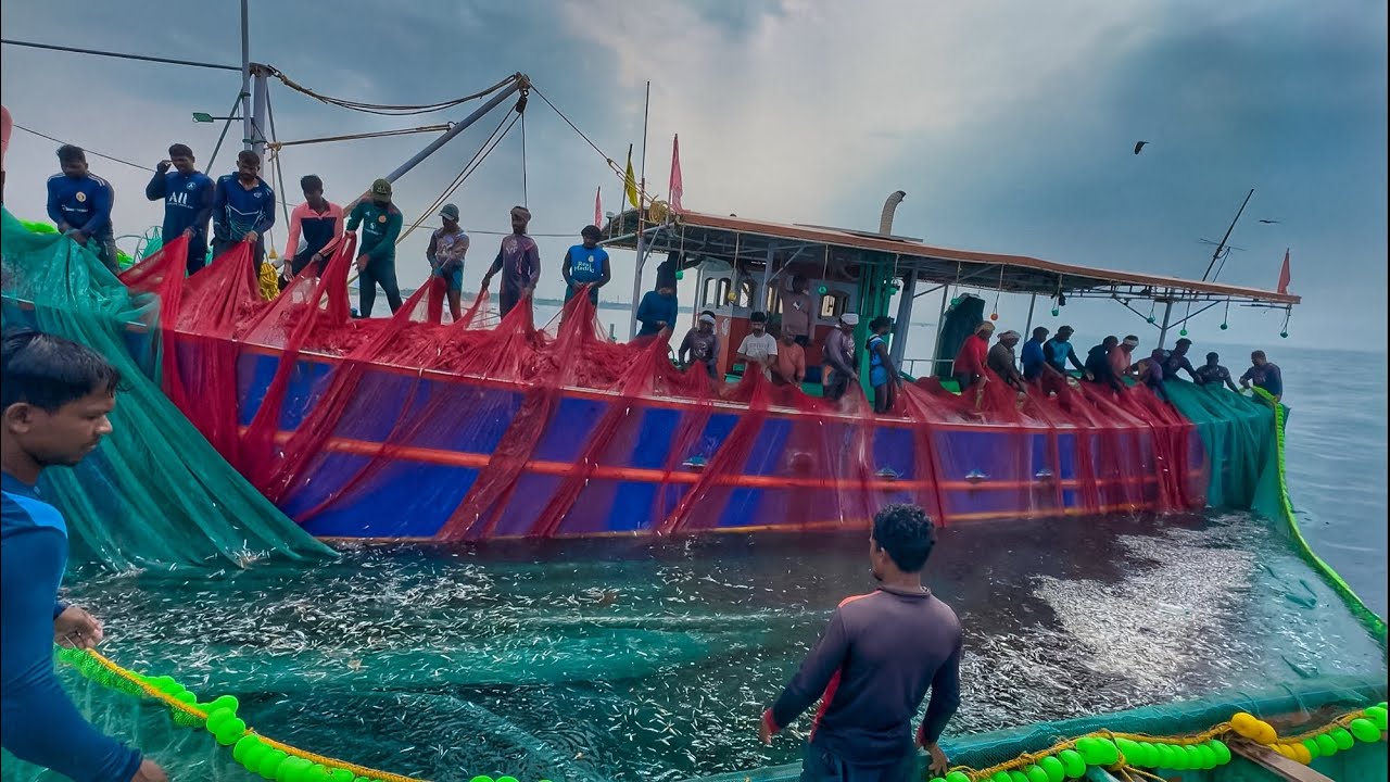 Massive Fish Catch in Kerala‼️Purse Seine Boat Overflowing with Fishes🤩🐟🐠prajapathy boat 💥🔥