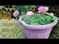 कमल के पौधे को एक रुपए में उगाने का सीक्रेट तरीका how to grow lotus at home in die plastic material