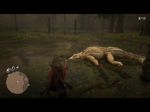 Lucky Boah
