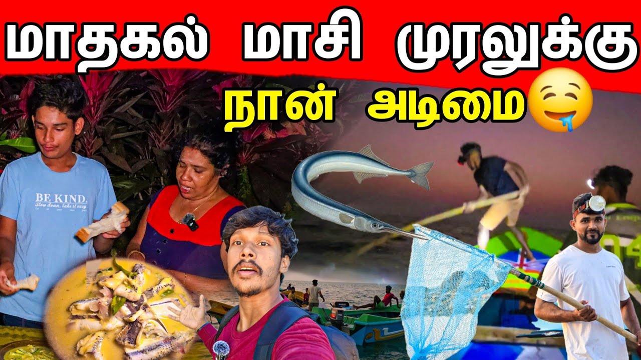 மாதகல் மாசி முரல்மீன் சொதியும் பஸ் பானும் 🤤 / Mathagal Maasi Mural / Tamil bros