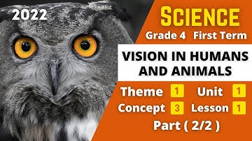 SCIENCE | Grade 4 | Vision in humans and animals #2 | Unit 1 - Concept 3 - Lesson 1