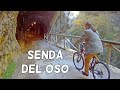 SENDA DEL OSO 4K en Bicicleta: una Buena Actividad en Picos de Europa | 4# Asturias | España