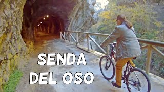 SENDA DEL OSO 4K en Bicicleta: una Buena Actividad en Picos de Europa | 4# Asturias | España