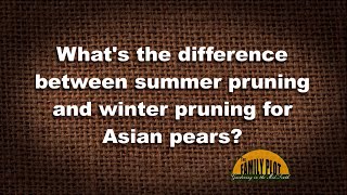 Q&A – What’s the difference between summer pruning and winter pruning in pears?