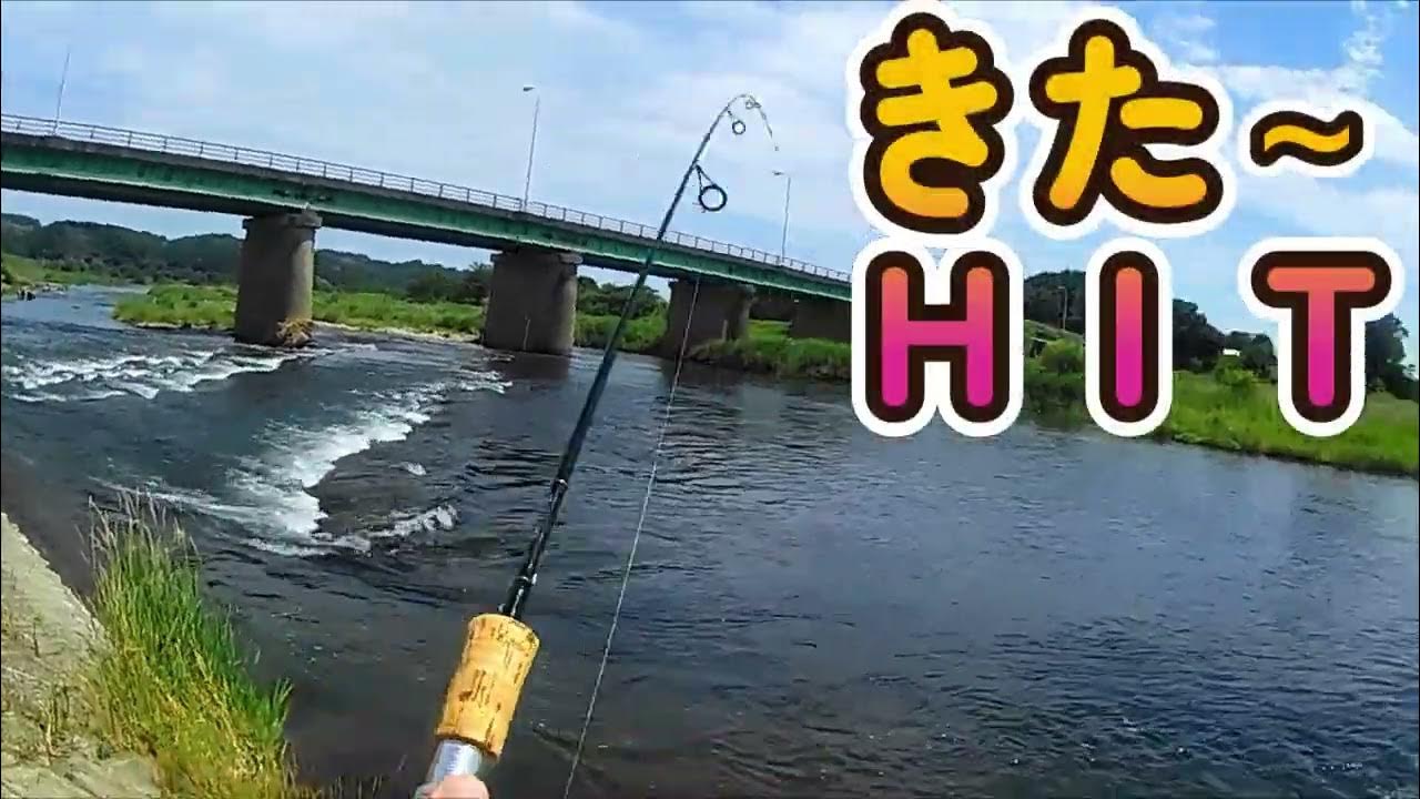 2022 ⑤6月／川ルアー釣り／那珂川水系 箒川／ウグイ ・カワムツ／Lure fishing in Japanese rivers／small fish YouTube