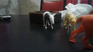 La Pandilla De La Selva