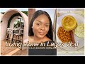 Living alone in Lagos Vlog #7|Home Decor Updates, Lots of Cooking| Losing someone so dear to me 😭