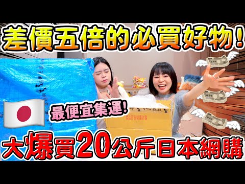 爆買日本網購20公斤！比台灣便宜5倍的好物分享！草莓酒 黛安芬 華歌爾 相片紙 藥妝美妝 可可酒精