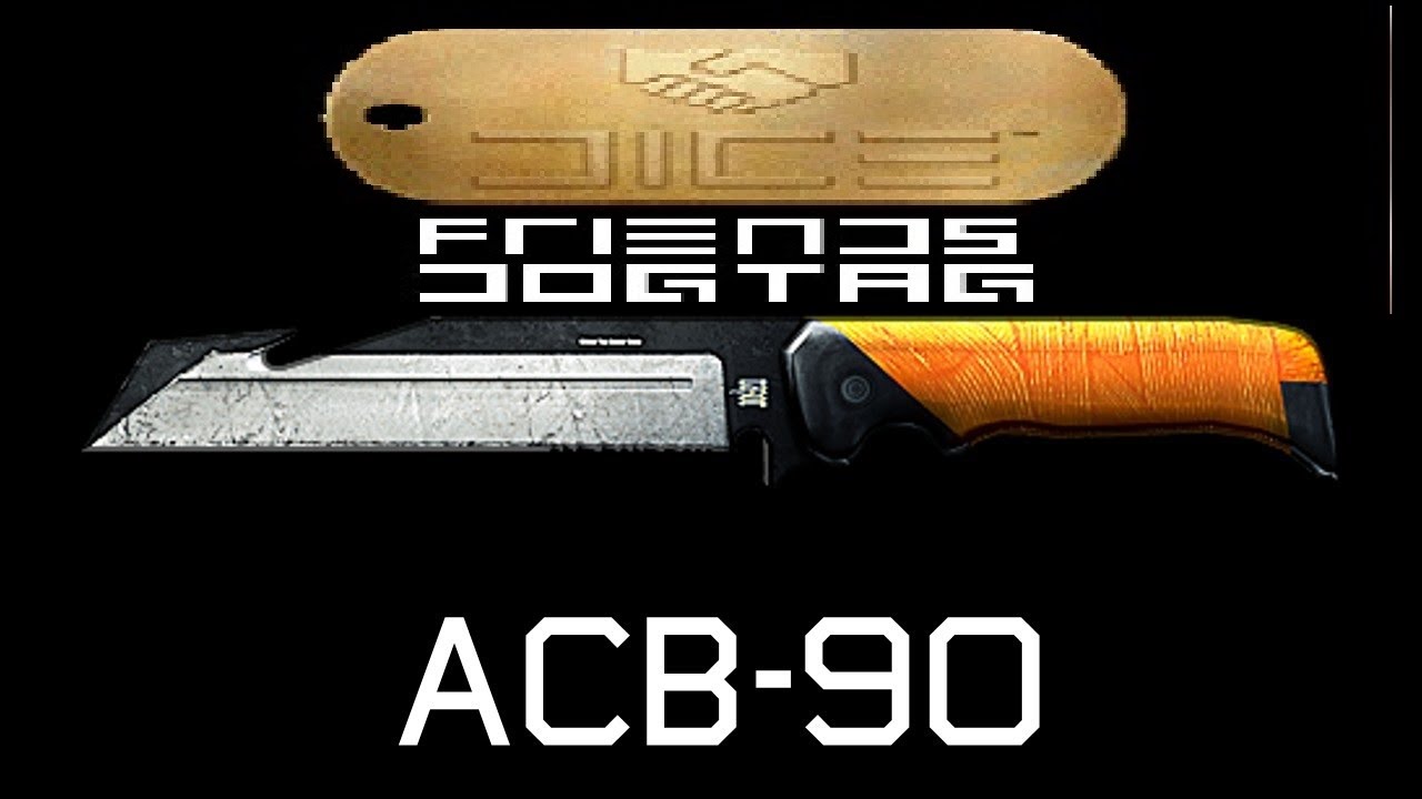 Battlefield 4 DICE Dog Tag Taking From Fatch69