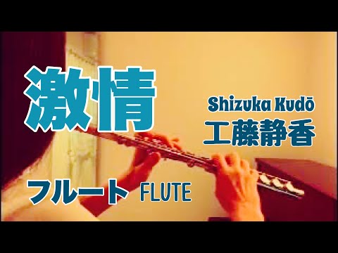 激情 / 工藤静香【フルートで演奏してみた】"Gekijou" Shizuka Kudō 1996年 中島みゆき 作詞 作曲 『ゆずれない夜』主題歌