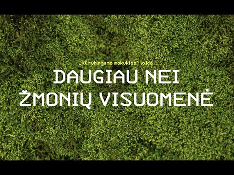 Kūrybingumo mokykla. Daugiau nei žmonių visuomenė