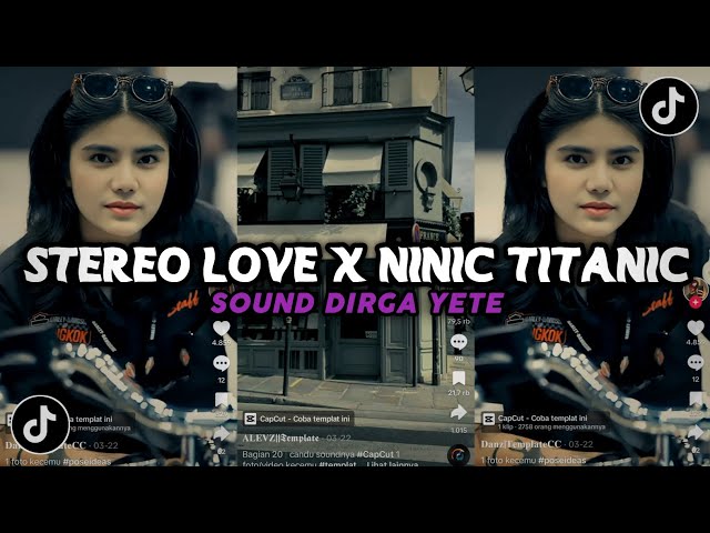 DJ STEREO LOVE X NINIC TITANIC (Slow + Reverb) SOUND TIKTOK DIRGA YETE BY ADIT FVNKY RMX class=