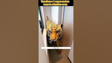 Transform a 1 square meters room to a function room #interiordesign #designinspiration #homedecor