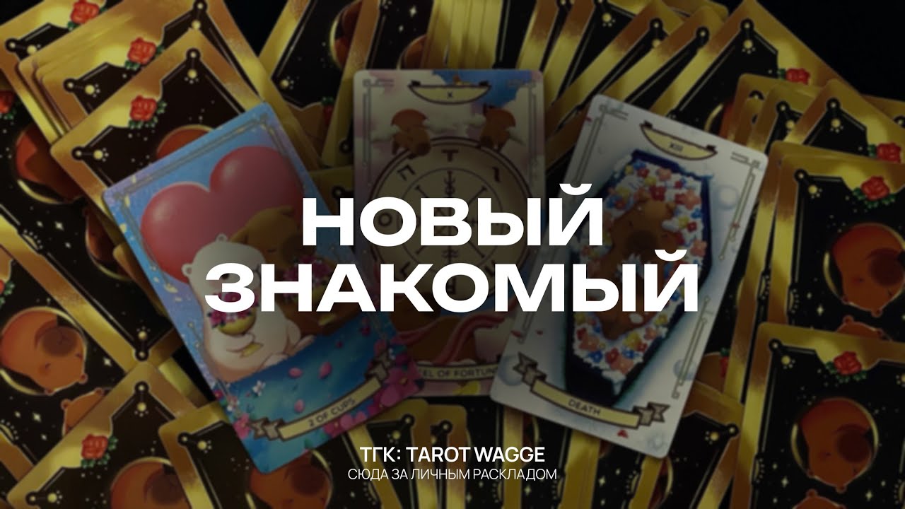 НОВЫЙ ЗНАКОМЫЙ 🥰 его впечатление, чувства и перспектива