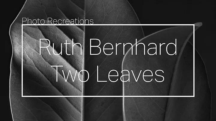 Ruth Bernhard's Two Leaves | Photo Recreations
