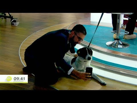 3 წლის შემდეგ ნაპოვნი დაკარგული ჟორჟიკა