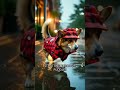 Better Than a DIY Dog Raincoat—This Plaid Coat Actually Works