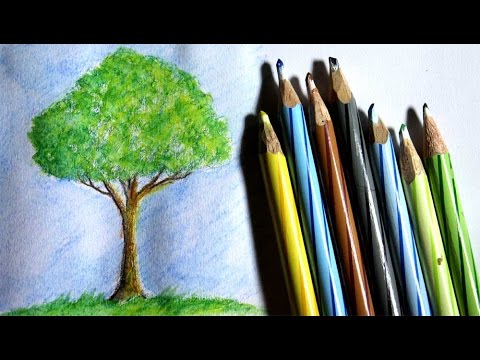 cara menggambar pohon dengan pensil warna  mudah YouTube