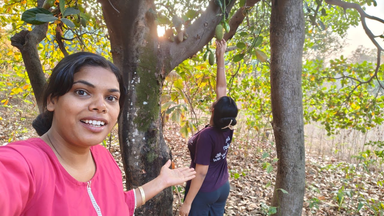 Jungle me kathal todne gaye😱