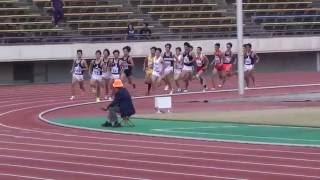 2016年10月8日 兵庫秋季記録会 男子1500m第1組 山脇・武下