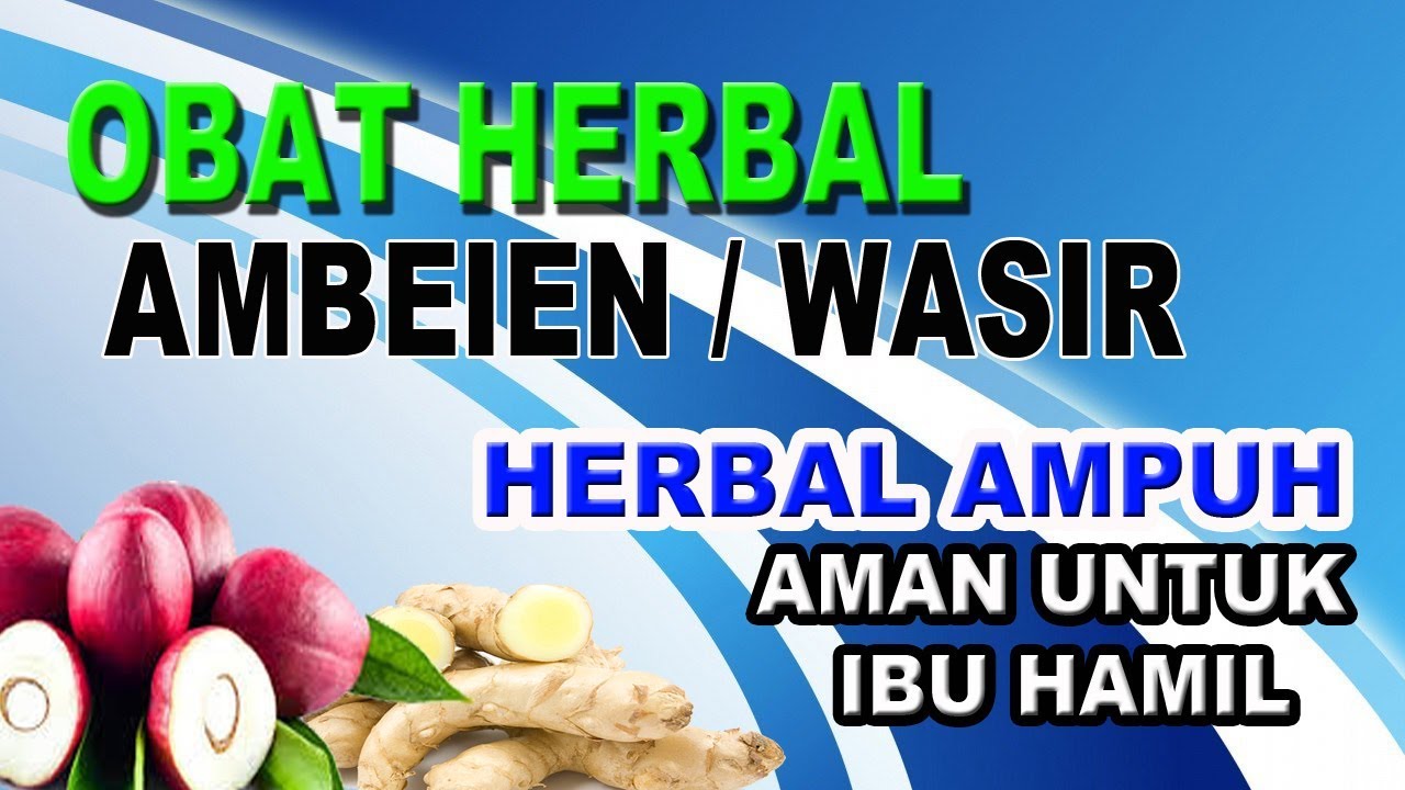 Obat Herbal Untuk MENGOBATI Ambeien dan CARA MENGOBATINYA 