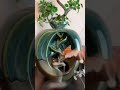 Yoga And Meditation With TikTok ZENDAI邃 Yoga And Meditation With TikTok ZENDAI邃